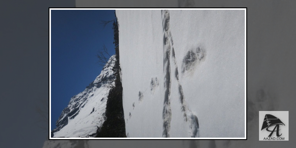 snowman Foot Print