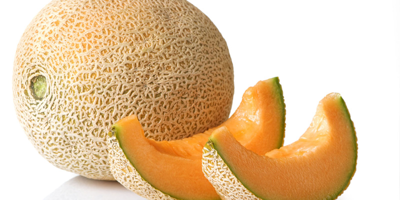 Musk Melon