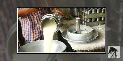 विश्व दुग्ध दिवस :  भारत का विश्व दूध उत्पादन में कौन सा स्थान है ?