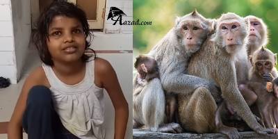 'Girl Mowgli' Raised By Monkeys Found In UP Forest